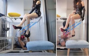【晓晓晓主子】笼子里的乖狗狗（温柔调教）-97LZTD-3223
