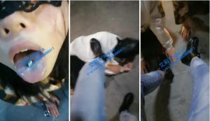 【微甜-Sss】户外野调被路人发现母狗陪调-97LZTD-3393