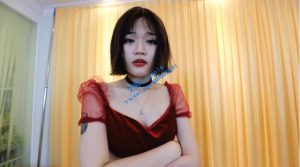 〖H.P.L栖心之栈〗—木堇GTS-97LZTD-3437
