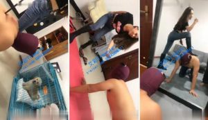 holy 调狗-97LZTD-1573