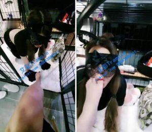 【Vinnie维妮】tj：圈养女m激情舔脚