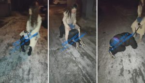 【柒柒殿下】户外遛狗，骑行，舔鞋底路人围观