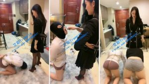 筱月S 戏耍两条抢内裤的狗