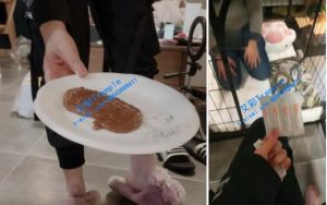 【Verin维因】喂给我的小厕厕公爵